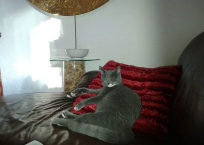 Vermisst in 83229 – Luis