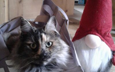 Frohe Weihnachten und einen guten Rutsch