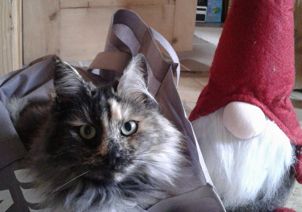 Frohe Weihnachten und einen guten Rutsch