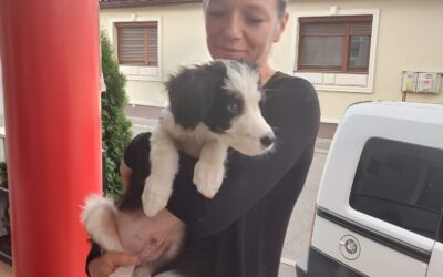 Unsere Kollegin Alex in Rumänien