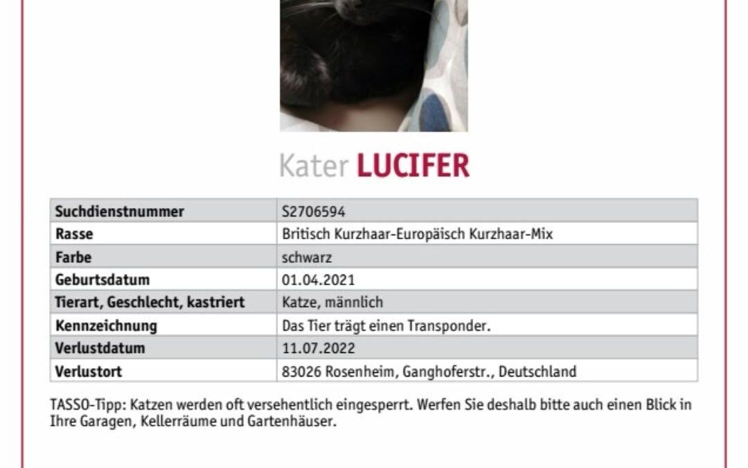 Vermisst in 83026 Rosenheim – Lucifer