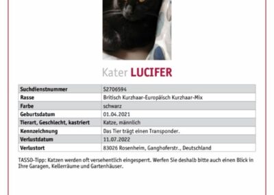 Vermisst in 83026 Rosenheim – Lucifer