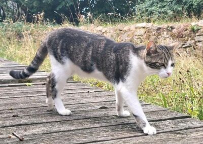 Vermisst seit 28.07.22 in 91743 Unterschwaningen