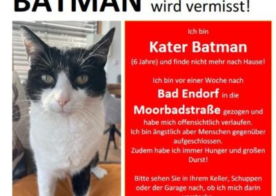 Vermisst seit 10.10.23 in Bad Endorf – Batman