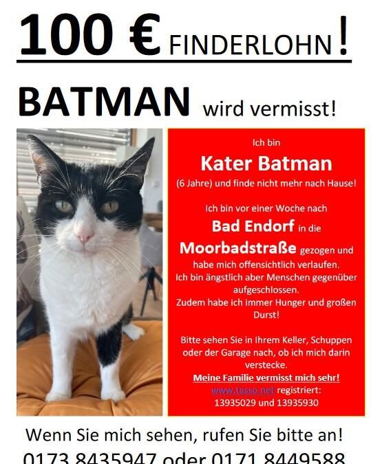 Vermisst seit 10.10.23 in Bad Endorf – Batman