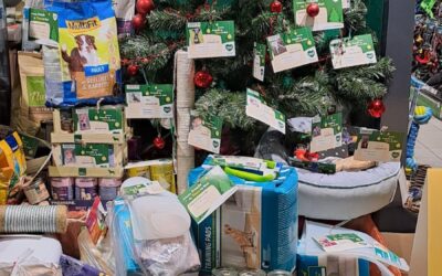 Weihnachtsaktion Fressnapf 2023 – wir sagen herzlichen Dank