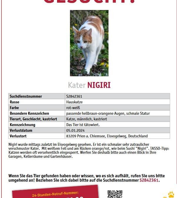 Vermisst seit 05.01.24 in Prien am Chiemsee – Nigiri