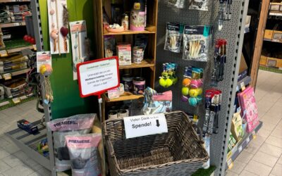 4. Oktober – Welttierschutztag – Fressnapf