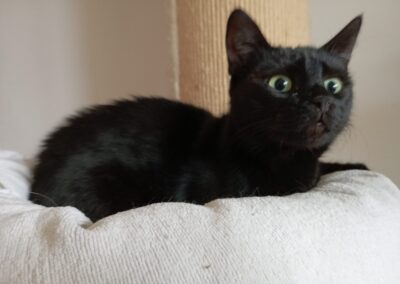 Sally | EKH | geb. ca. 07/2023