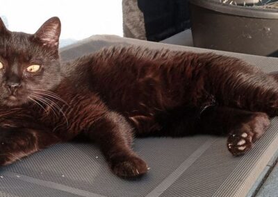 Luna | EKH | geb. ca. 08/2014