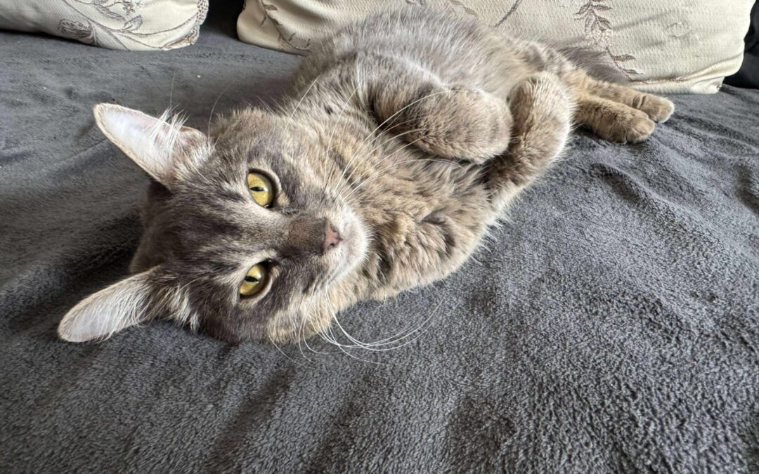 Lillian | EKH | geb. ca. 06/2024