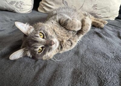 Lillian | EKH | geb. ca. 06/2024