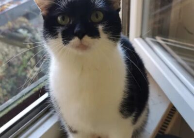 Maja | EKH | geb. ca. 2021