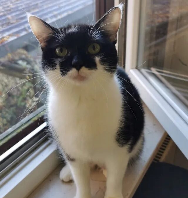 Maja | EKH | geb. ca. 2021