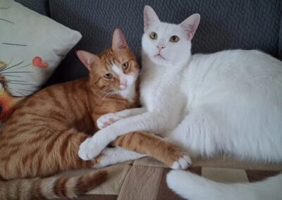 Vanil und Fendi | EKH | geb. ca. 04/2024