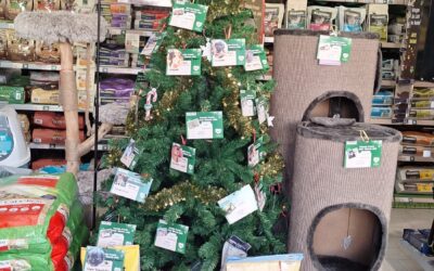 🎄Weihnachtsaktion bei Fressnapf in Wasserburg🎄