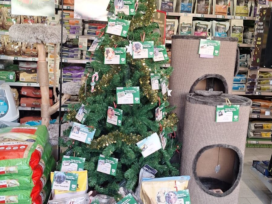 🎄Weihnachtsaktion bei Fressnapf in Wasserburg🎄