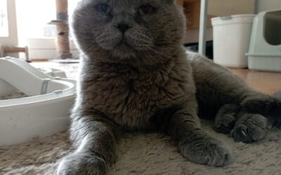 🆘🆘 Notfall Balu 🆘🆘