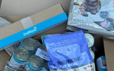 Spende – vielen Dank!