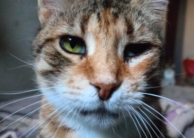 Ludmilla | Patenschaft