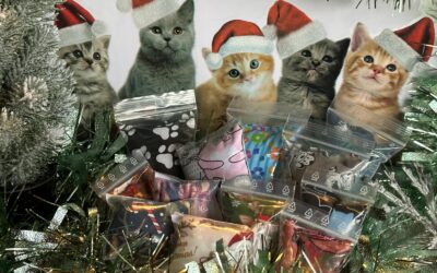 Weihnachtsschmusekissen