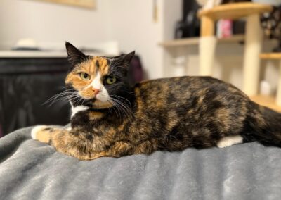 Afa | EKH | geb. ca. 02/2024 – RESERVIERT