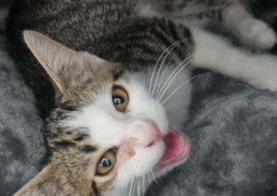 Reva | EKH | geb. ca. 04/2025