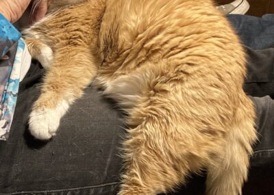 Maxi | EKH | geb. ca. 10/2011