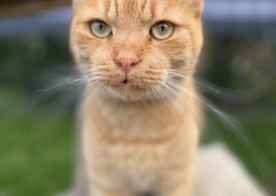 Garfield | EKH | geb. ca. 2021
