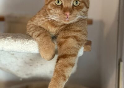 Garfield | EKH | geb. ca. 2021