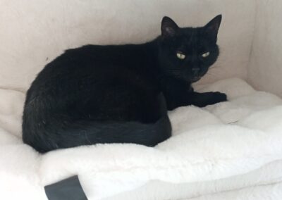 Jule | EKH | geb. ca. 04/2017