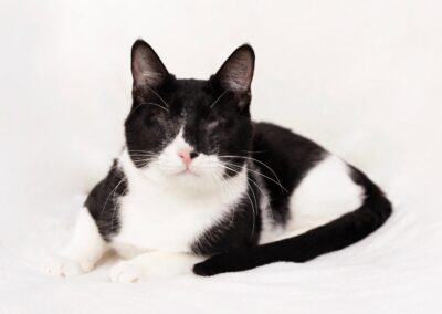 Morgan | EKH | geb. ca. 07/2025 | blind