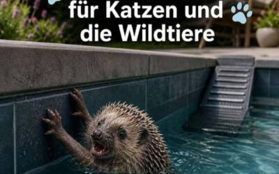 Ausstiegshilfen in Pools und Wassertonnen