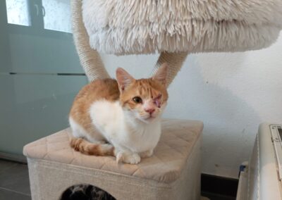 Felix | EKH | geb. ca. 10/2025