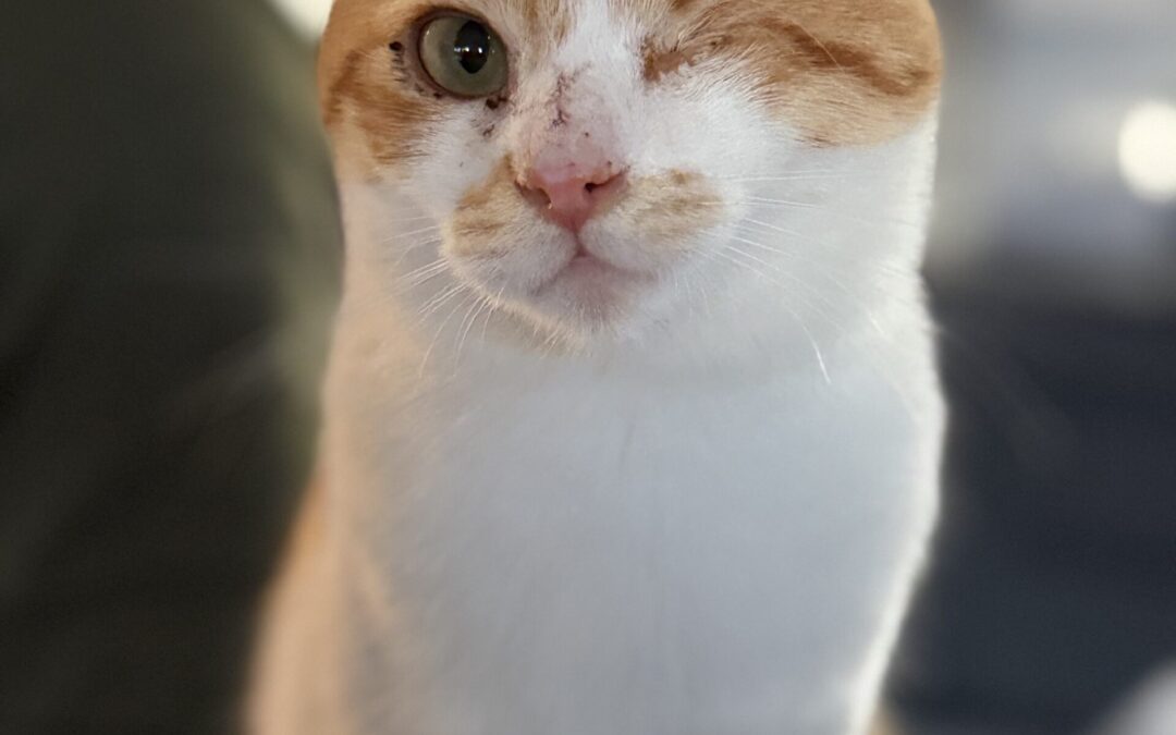 Felix | EKH | geb. ca. 10/2025