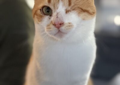 Felix | EKH | geb. ca. 10/2025