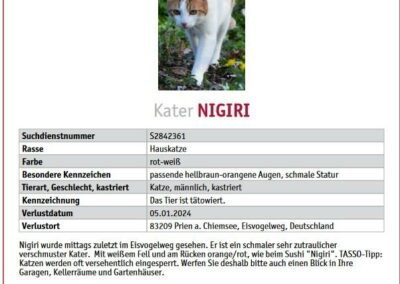 Vermisst seit 05.01.24 in Prien am Chiemsee – Nigiri