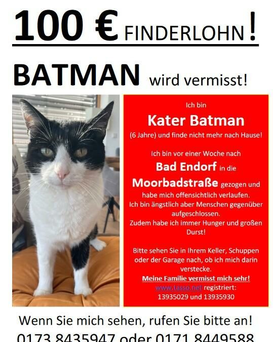 Vermisst seit 10.10.23 in Bad Endorf – Batman
